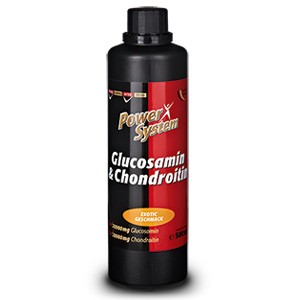 Glucosamine & Chondroitin (500мл)